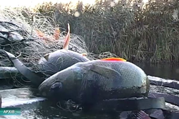 Вилучено 4 км рибальської сітки