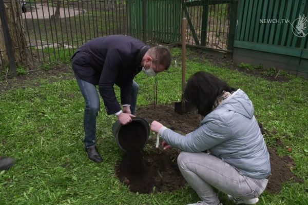 Літературний сад у бібліотеці