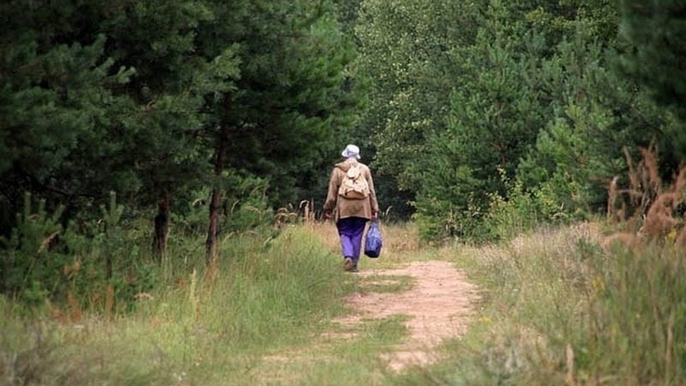 Заблудилась в лесу летом