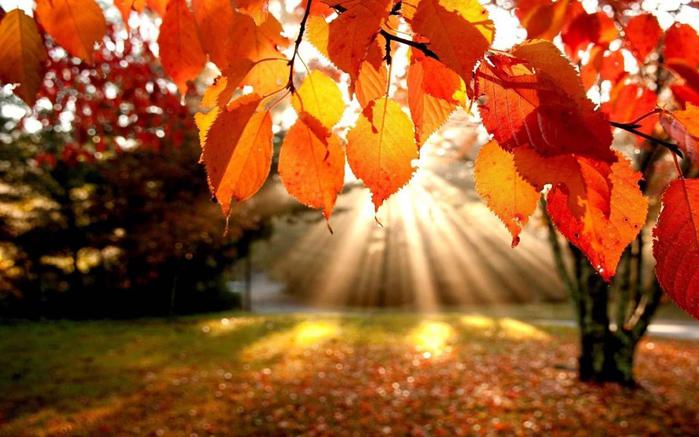 Синоптики обіцяють теплий і сонячний вікенд 9-10 жовтня • Новий Чернігів