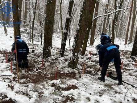 Розмінування на Чернігівщині: піротехніки ДСНС знешкодили понад 48700 боєприпасів