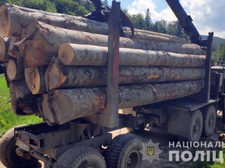 Смертельна ДПТ на Чернігівщині: вантажівка з лісом збила пішохода