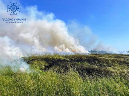 За добу на Чернігівщині ліквідували 14 пожеж у природних екосистемах, згоріло понад 8 га луків