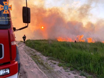 Понад 300 пожеж в екосистемах, площею більше 300 га ліквідували вогнеборці Чернігівщини від початку року