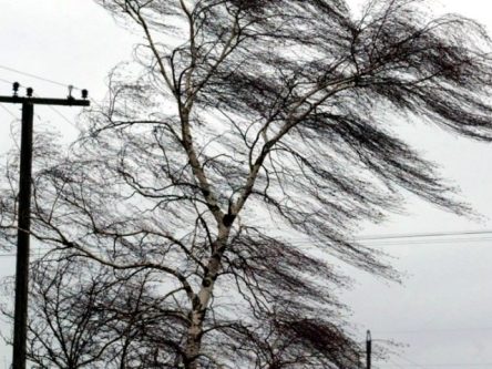 Негода на Чернігівщині залишила без електрики близько 3300 осель