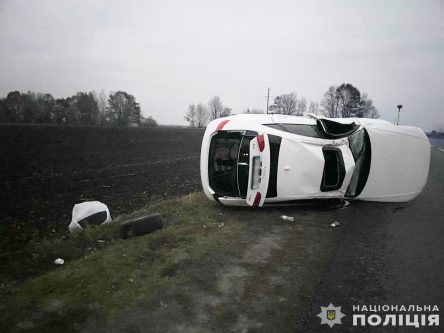 Смертельна ДТП на Чернігівщині: автомобіль злетів з дороги та перекинувся