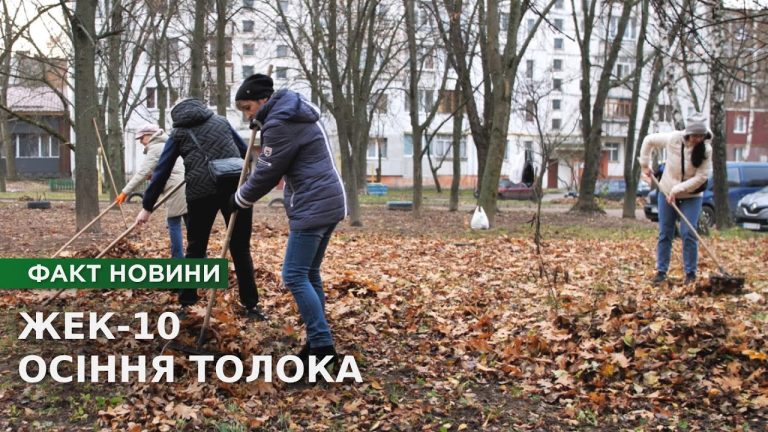 Осіння толока: колектив КП “ЖЕК-10” об’єднався, щоб встигнути прибрати листя до снігу