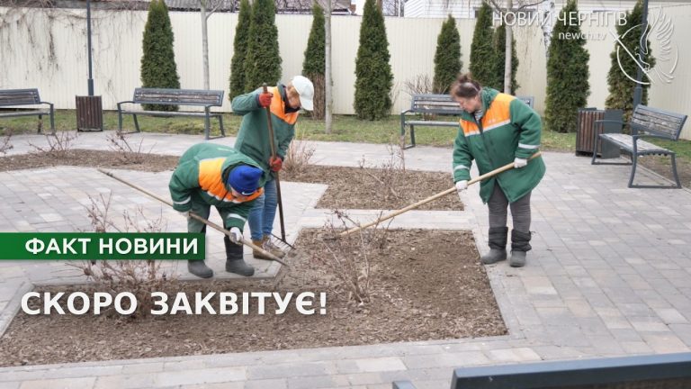 «Значить буде красота, значить буде життя»: як озеленювачки готують Чернігів до весни